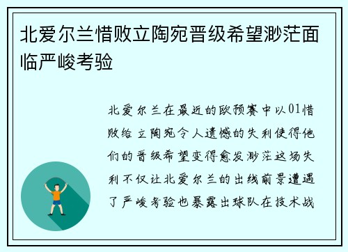 北爱尔兰惜败立陶宛晋级希望渺茫面临严峻考验